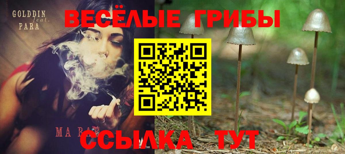 Псилоцибиновые грибы мухоморы Тамбов